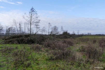 P1100068 Buulse Wildernis 2015