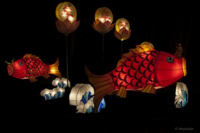 DSC_0612 China Light Festival in Burgers Zoo