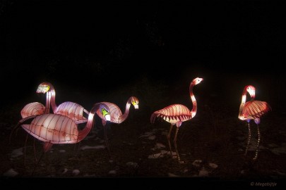 DSC_0628 China Light Festival in Burgers Zoo