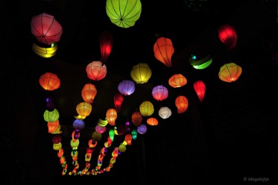 DSC_0667 China Light Festival in Burgers Zoo