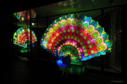 DSC_0702 China Light Festival in Burgers Zoo