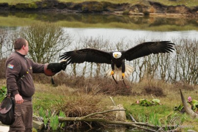 DSC_3223 Beekse Bergen 6 april 2015