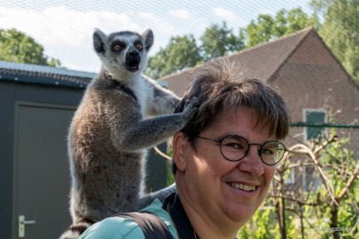 P1020276 Dierenrijk 11 juli 2015