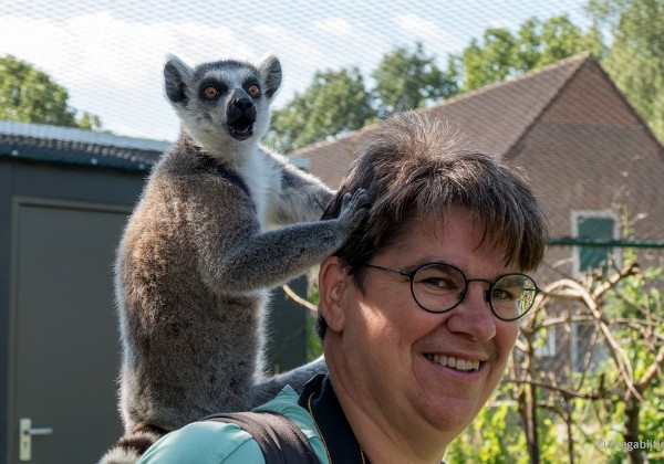 Dierenrijk juli 2015