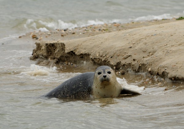 3 dagen Texel september 2015