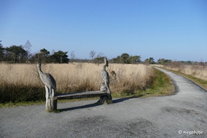 P1110136 Ospel de grote Peel het elfde 2016