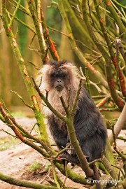 DSC_1222 Overloon 2 april 2016