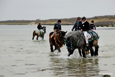 DSC_0263 Strao rijden