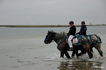 DSC_0269 Strao rijden