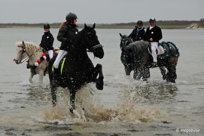 DSC_0322 Strao rijden