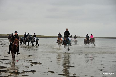 DSC_0378 Strao rijden