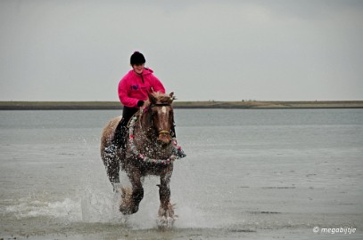 DSC_0443 Strao rijden