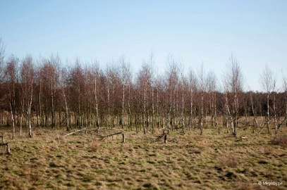 _DSC4659 Snertwandeling