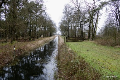 P1100842 Wandeling Strabrechtse heide