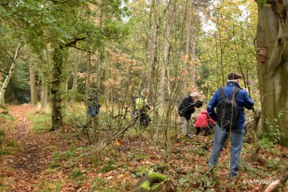 DSC_6790 Herbertusbossen Heeze 2017