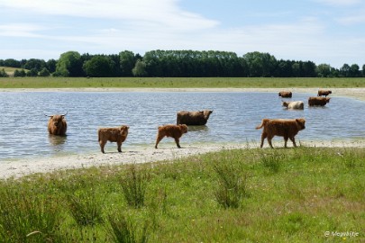 P1230236 Huis ter Heide Loon op Zand, wandeling Lizet Tilburg