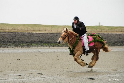 DSC_8192 Strao Serookskerke 2017