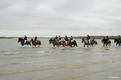 DSC_8215 Strao Serookskerke 2017