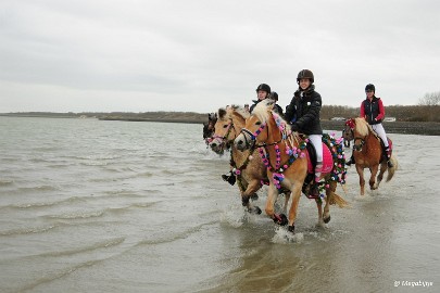 DSC_8227 Strao Serookskerke 2017