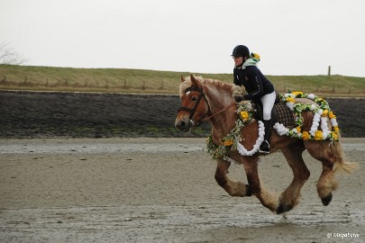 DSC_8231 Strao Serookskerke 2017