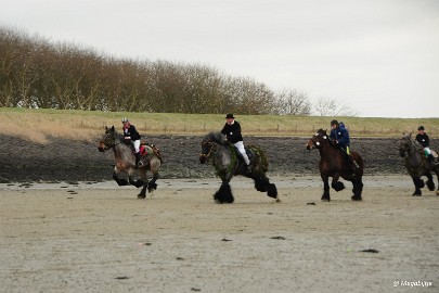 DSC_8237 Strao Serookskerke 2017