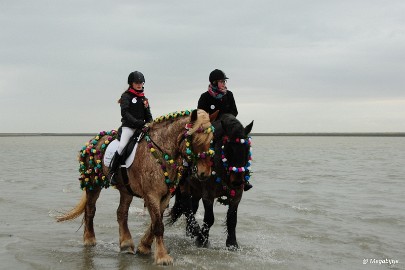 DSC_8247 Strao Serookskerke 2017