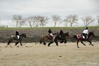 DSC_8256 Strao Serookskerke 2017