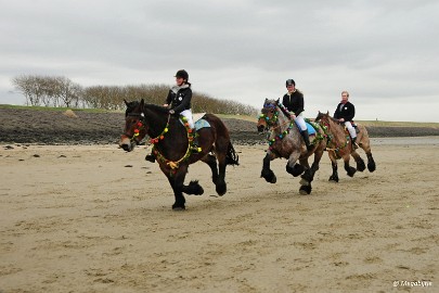 DSC_8276 Strao Serookskerke 2017