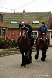 DSC_8356 Strao Serookskerke 2017