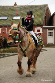 DSC_8424 Strao Serookskerke 2017