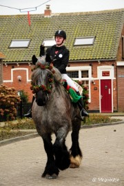 DSC_8472 Strao Serookskerke 2017