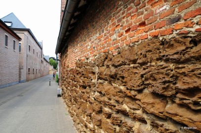 DSC_9305 Diest stadswandeling 2018