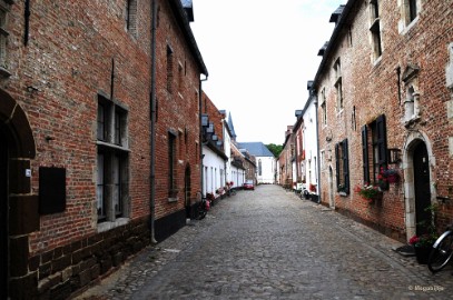 DSC_9312 Diest stadswandeling 2018