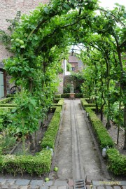 DSC_9318 Diest stadswandeling 2018