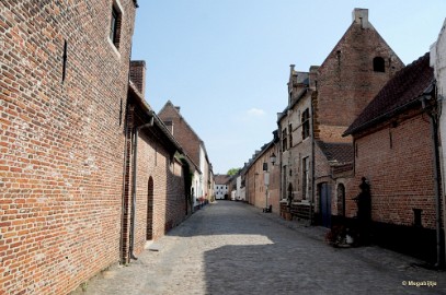 DSC_9324 Diest stadswandeling 2018