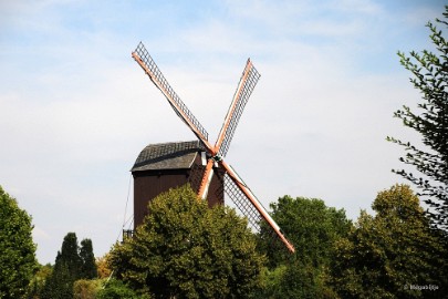 DSC_9345 Diest stadswandeling 2018