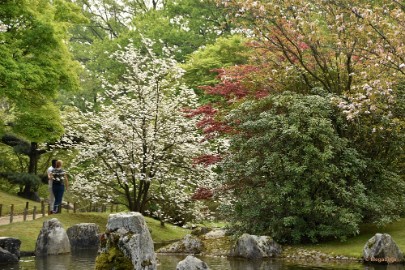 DSC_8891 Japanse Tuinen 2018