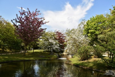 DSC_9006 Japanse Tuinen 2018