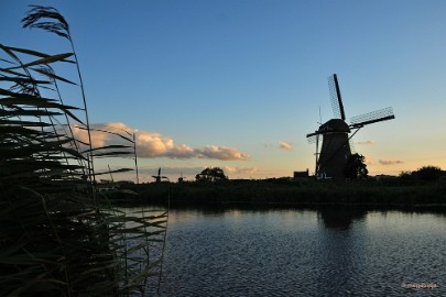 aDSC_3900 Kinderdijk 2018