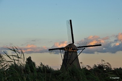 aDSC_3924 Kinderdijk 2018