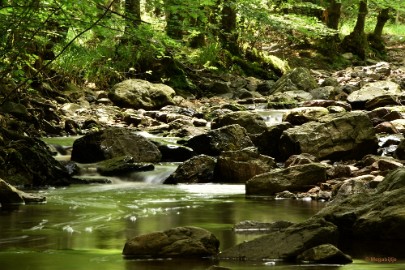 DSC_0361a La Hoegne Ardennen