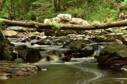 DSC_0364a La Hoegne Ardennen