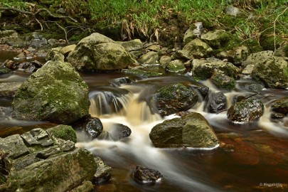 DSC_0367a La Hoegne Ardennen