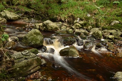 DSC_0370a La Hoegne Ardennen