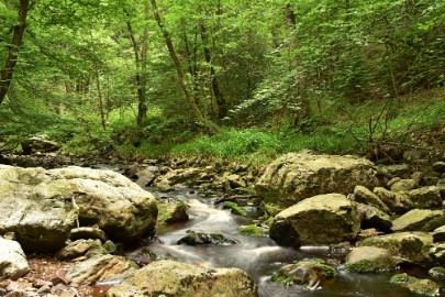 DSC_0371a La Hoegne Ardennen