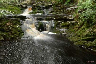 DSC_0398 La Hoegne Ardennen