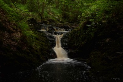 DSC_0407 La Hoegne Ardennen