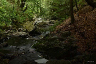 bdDSC_0411 La Hoegne Ardennen