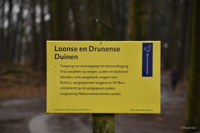 bdDSC_8110 Loonse en Drunense duinen 2018