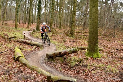 DSC_8123 Loonse en Drunense duinen 2018